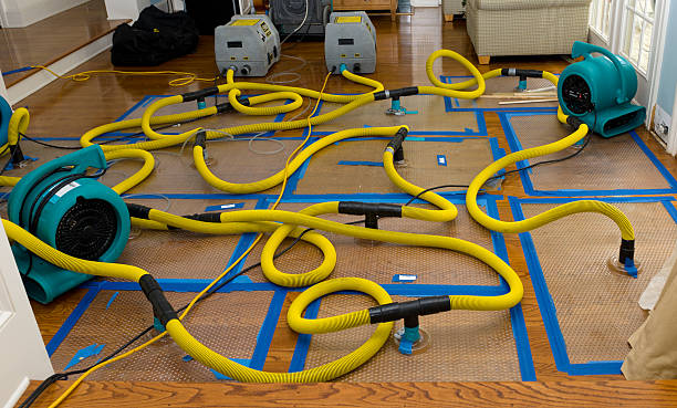 Professional Crawl Space Water Removal technician working in Van Meter, IA